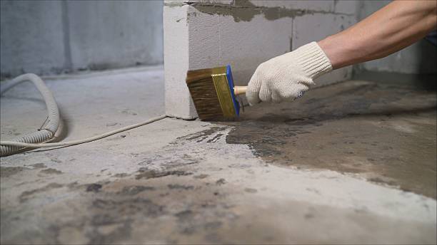 SJ Waterproofing Pros Waterproofing coverage map for Shelby, AL and surrounding area